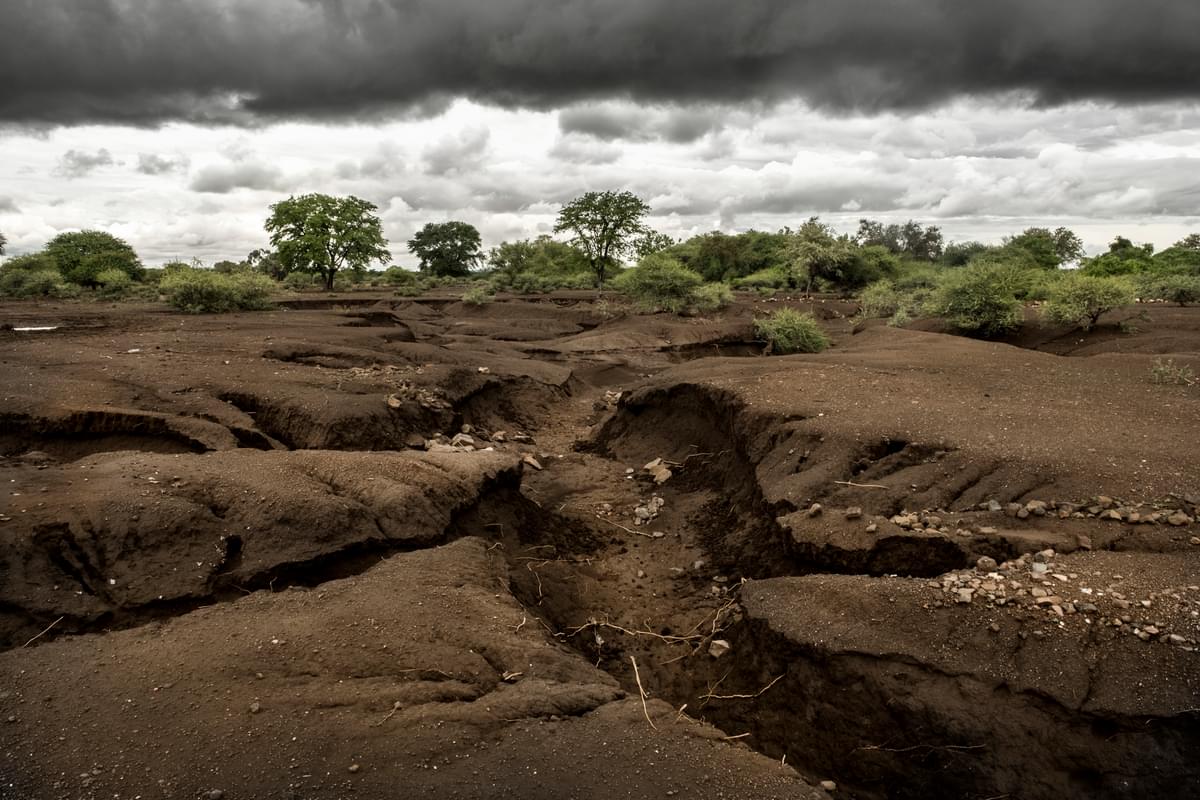 I Cambiamenti Climatici Dati Cause Effetti E Possibili Soluzioni