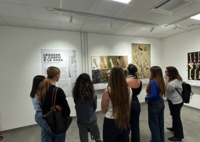 IMG 2262